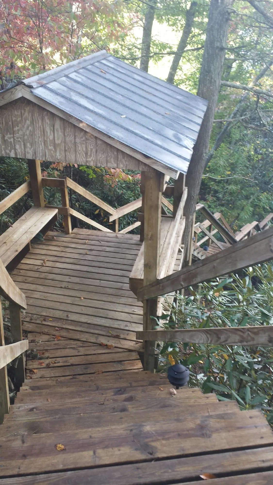 Metal roofed shelter over wooden steps on a wooded walkway — Skylight Repair & Installation work by our crew in Quinault