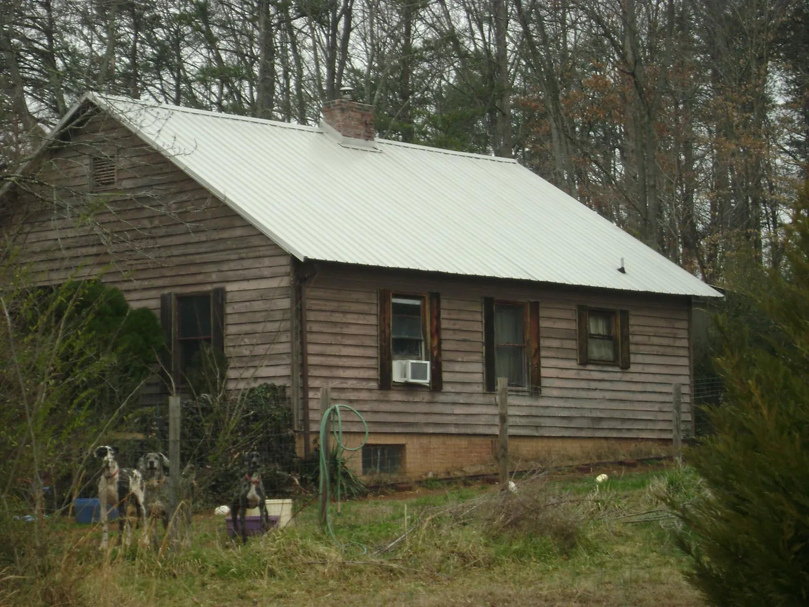 White metal roof on an old wood sided farmhouse, from a Metal Roof Installation job in Quinault